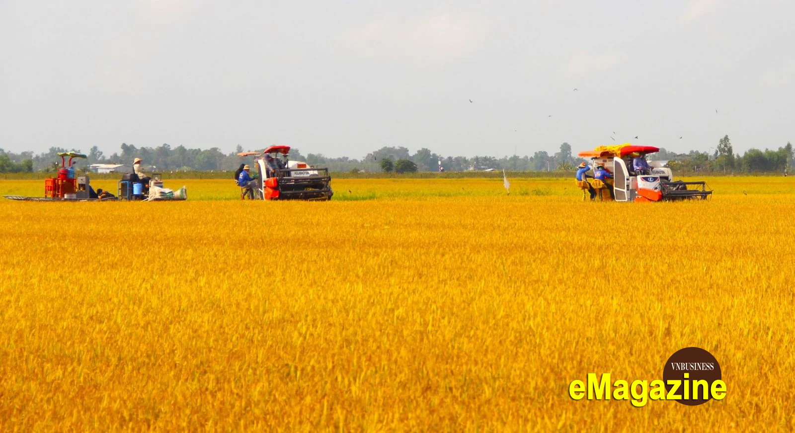 Nông nghiệp số Việt Nam phát triển bền vững