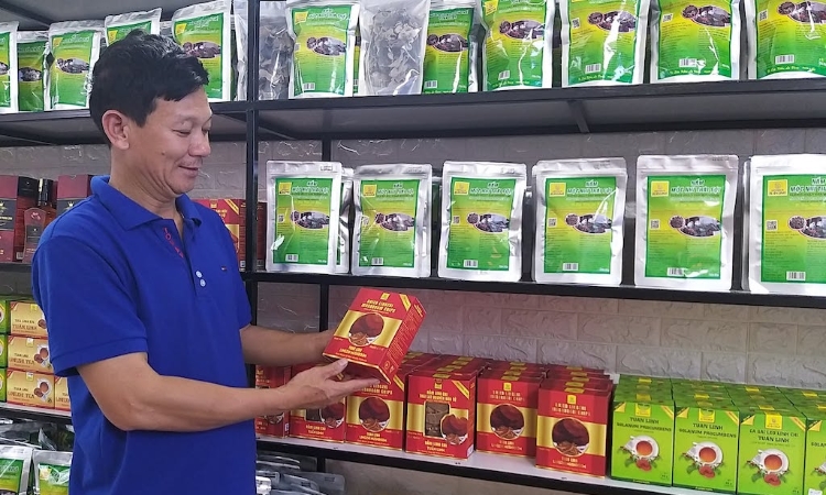 ‘Ươm’ tài sản trí tuệ từ phòng nuôi nấm của HTX ở Bố Trạch