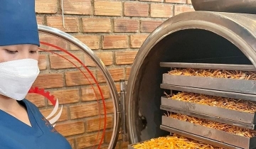 Từ bảo hộ đến thương hiệu: Cách Quảng Ngãi nâng tầm nông sản