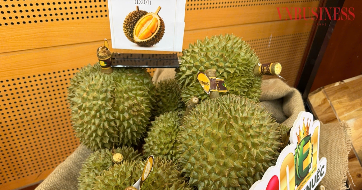Nâng giá trị ngành hàng sầu riêng tỷ đô
