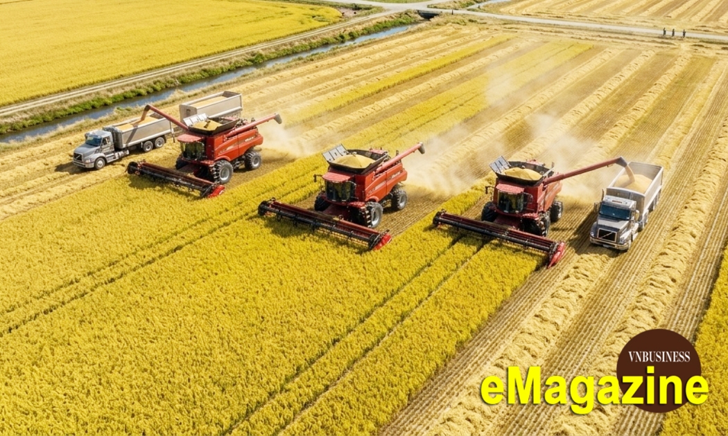 HTX đưa nông sản bước vào kỷ nguyên đổi mới sáng tạo