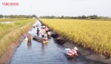 Gỡ