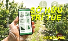 Sở hữu trí tuệ - Nguồn vốn mới của HTX, doanh nghiệp trong đổi mới sáng tạo