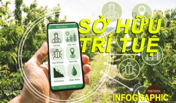 Sở hữu trí tuệ - Vốn mới của HTX, doanh nghiệp trong đổi mới sáng tạo