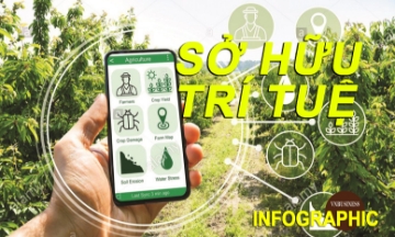 Sở hữu trí tuệ - Nguồn vốn mới của HTX, doanh nghiệp trong đổi mới sáng tạo