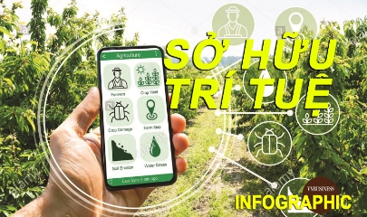 Sở hữu trí tuệ - Nguồn vốn mới của HTX, doanh nghiệp trong đổi mới sáng tạo