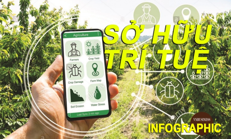 Sở hữu trí tuệ - Vốn mới của HTX, doanh nghiệp trong đổi mới sáng tạo