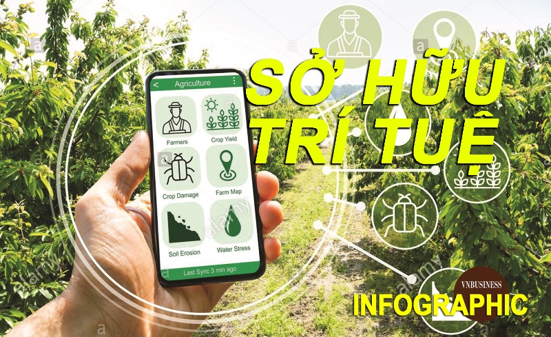 Sở hữu trí tuệ - 'Vốn mới' của HTX, doanh nghiệp trong đổi mới sáng tạo