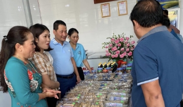 Từ làng biển Đồng Hới, HTX nâng giá trị thủy sản bằng sở hữu trí tuệ