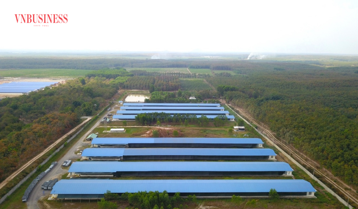 Hệ thống trang trại quy mô lớn, hiện đại và thân thiện với môi trường của Japfa Việt Nam.