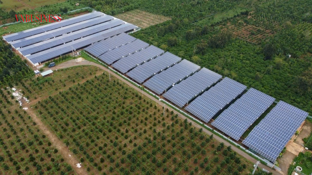 Một trong những trang trại đối tác của Japfa Việt Nam nuôi gà gia công theo công nghệ chuồng kín tại xã Ea Tul, tỉnh Đắk Lắk.