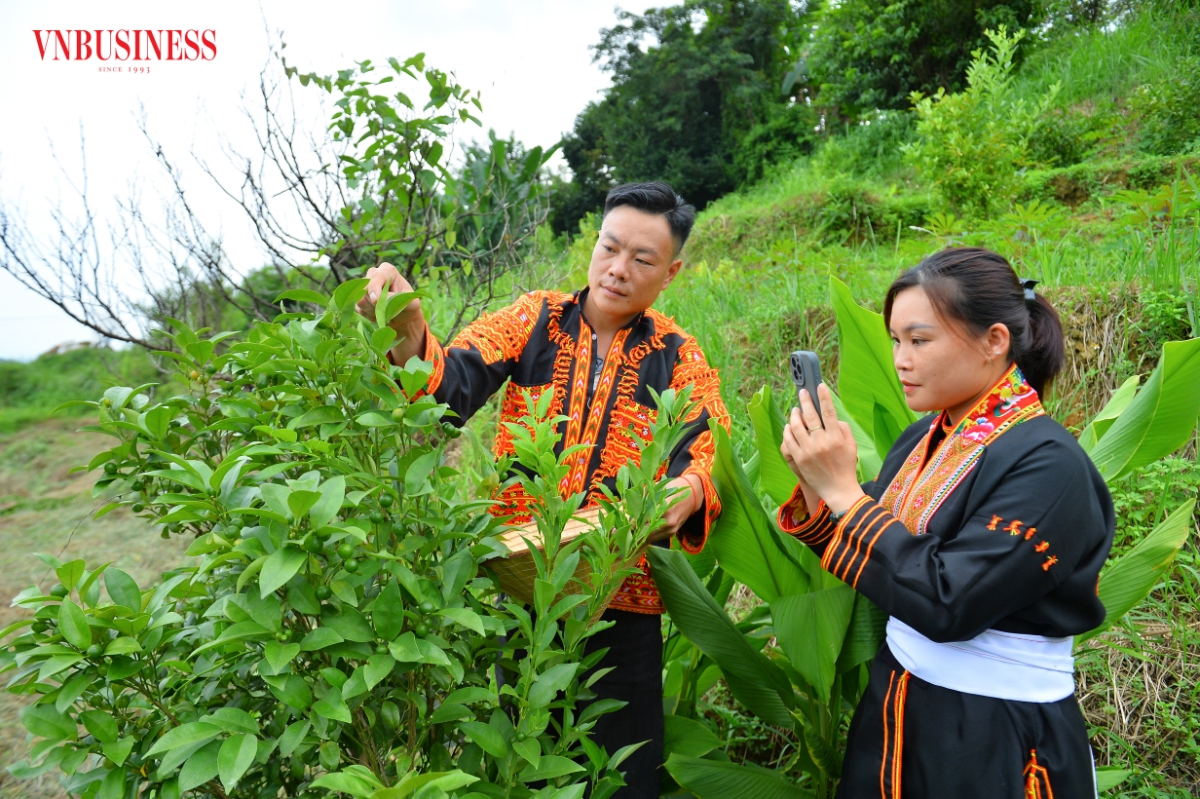 Thay vì phụ thuộc hoàn toàn vào thương lái, HTX chủ động kết nối trực tiếp với người tiêu dùng thông qua các nền tảng mạng xã hội và thương mại điện tử, mở rộng đầu ra cho nông sản địa phương.