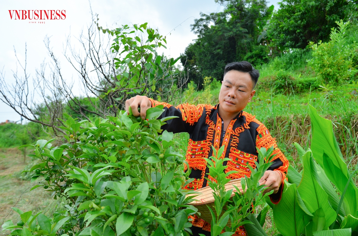 Không chỉ tập trung vào sản xuất, HTX còn từng bước thay đổi phương thức kinh doanh theo hướng chuyển đổi số, rút ngắn khoảng cách giữa người sản xuất và người tiêu dùng.