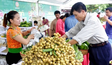 Sở hữu trí tuệ mở đường cho nông sản HTX Sơn La chinh phục thị trường