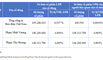 Hé lộ nhóm cổ đông liên quan đến tỷ phú Phạm Nhật Vượng nắm giữ gần 10% vốn tại LPBank