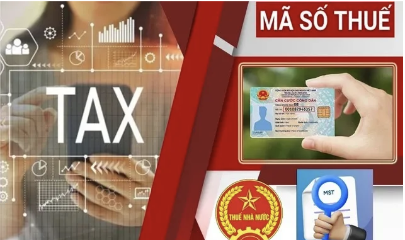 Toàn quốc có hơn 600.000 doanh nghiệp đang bị ngành thuế rà soát mã số thuế.