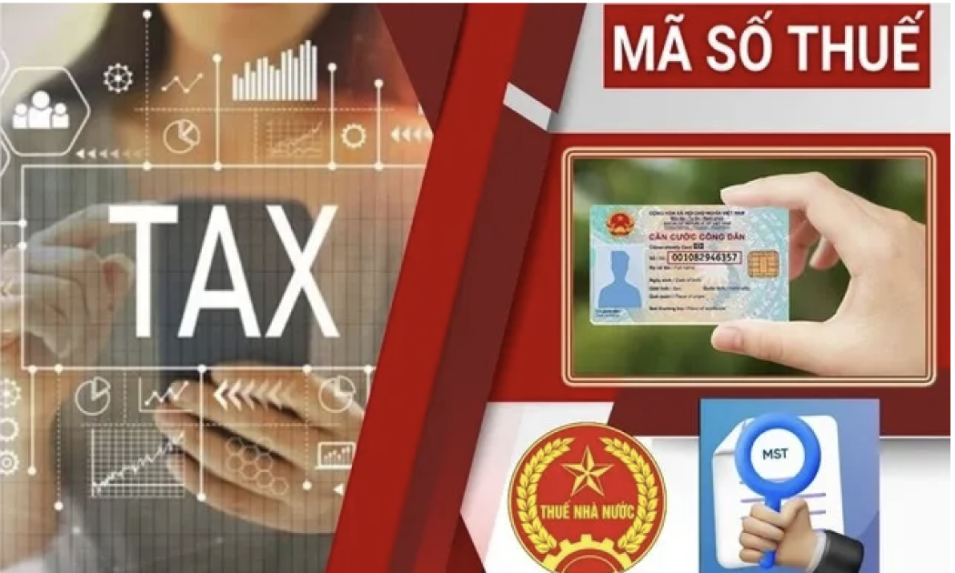 Toàn quốc có hơn 600.000 doanh nghiệp đang bị ngành thuế rà soát mã số thuế.