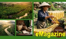 Từ cây chuối quê nhà đến chuỗi giá trị xanh