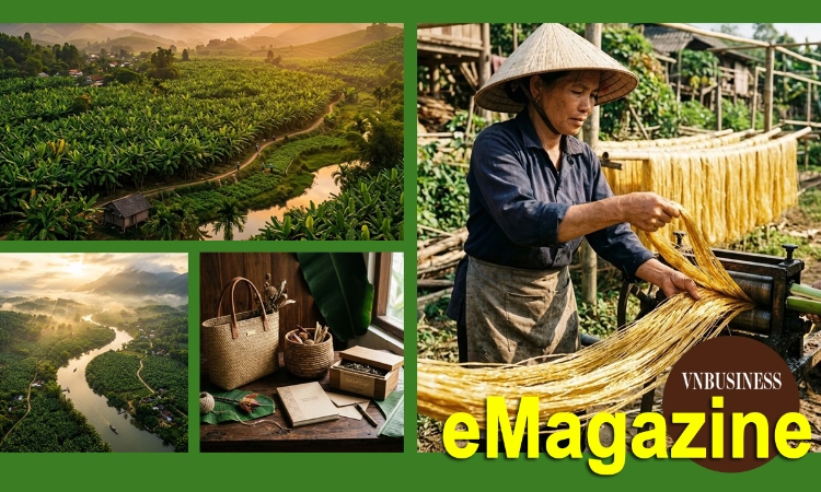Từ cây chuối quê nhà đến chuỗi giá trị xanh
