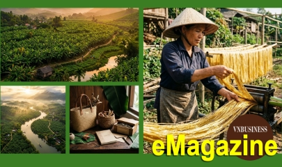Từ cây chuối quê nhà đến chuỗi giá trị xanh
