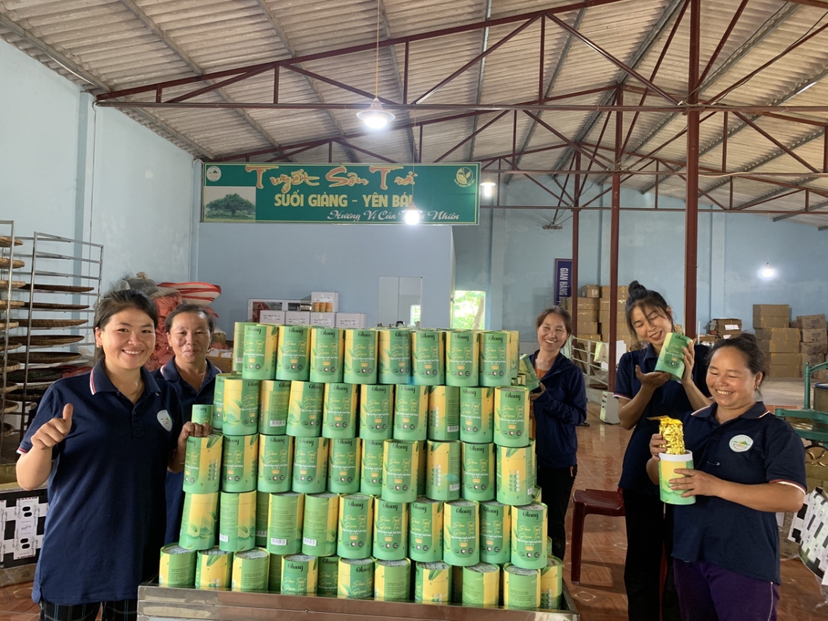 Nghị định số 295/2026/NĐ-CP quy định về đăng ký tổ hợp tác, hợp tác xã, liên hiệp hợp tác xã được ký và có hiệu lực cùng ngày 23/7/2026.