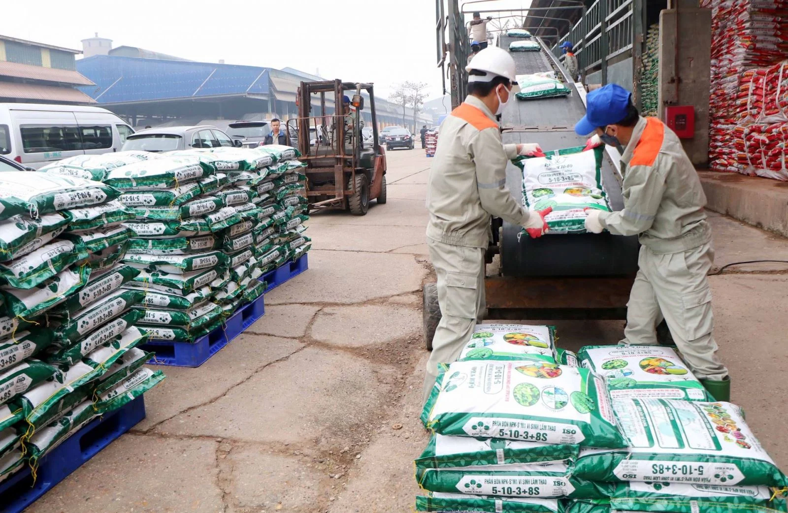 Lợi nhuận Supe Lâm Thao lao dốc gần 87%, cứ 100 đồng doanh thu chỉ còn lãi khoảng 1,3 đồng