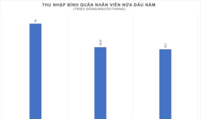 VnBusiness
