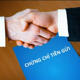 VnBusiness
