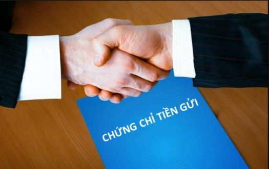 VnBusiness