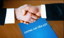 VnBusiness