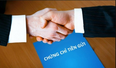 VnBusiness