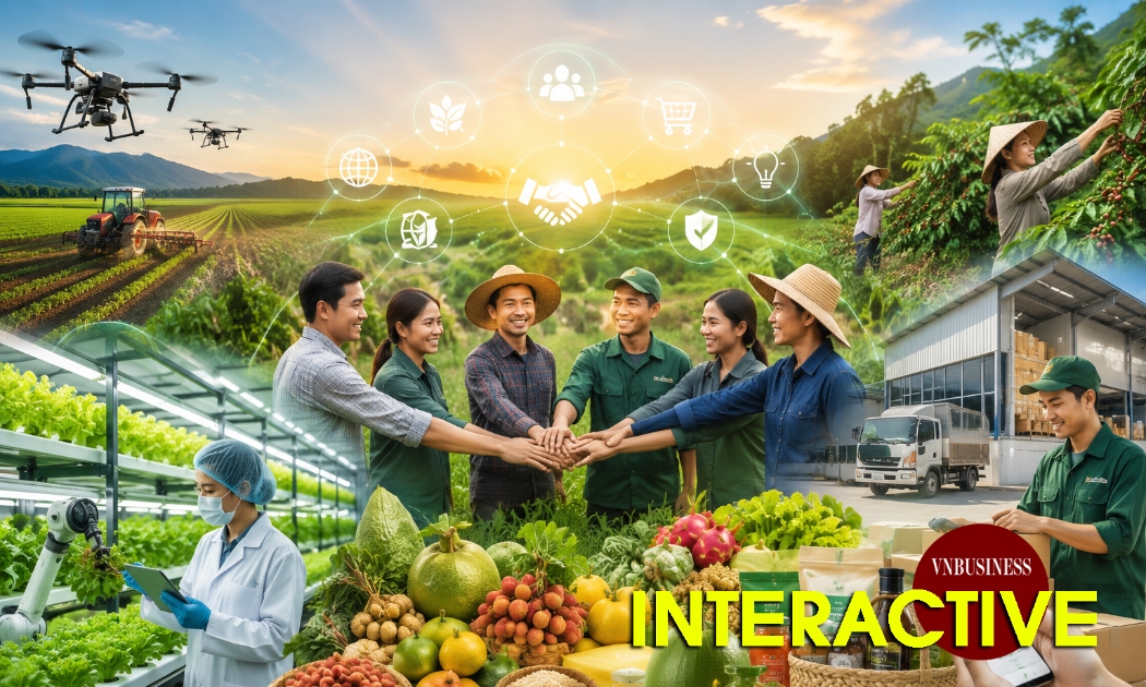 HTX nâng cao giá trị nông sản, giải bài toán được mùa mất giá