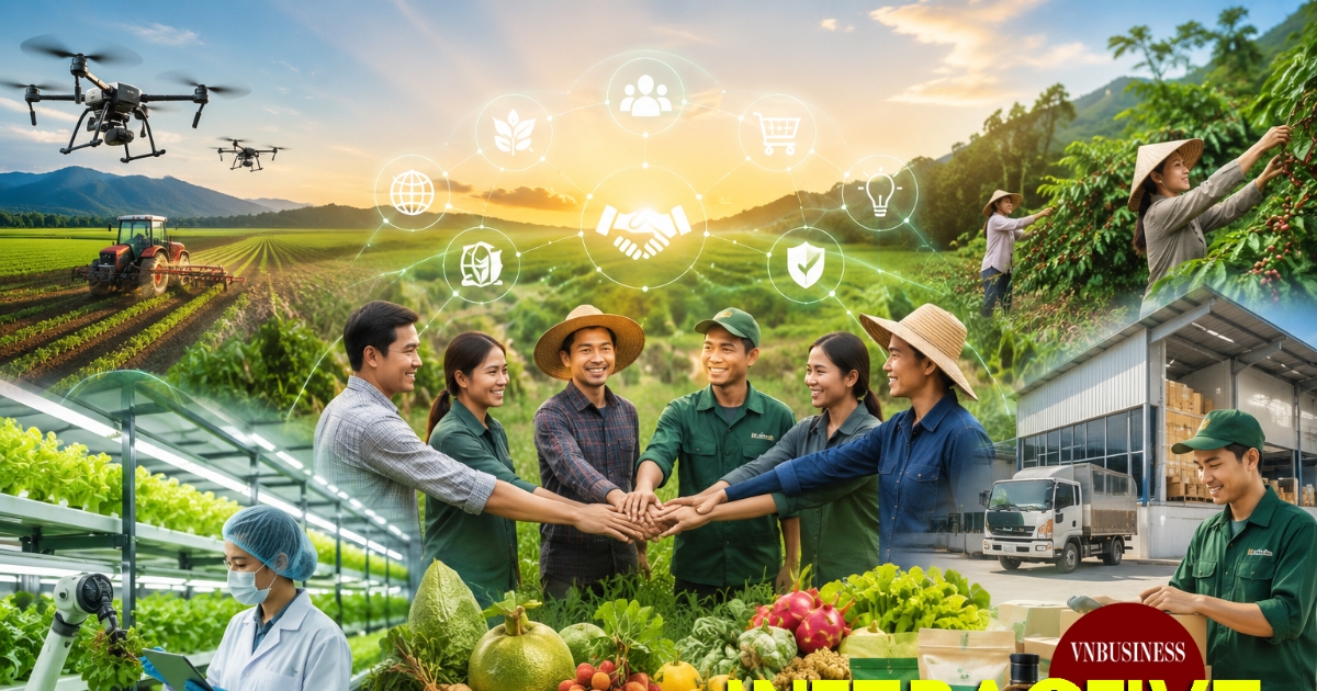 HTX nâng cao giá trị nông sản, giải bài toán được mùa mất giá