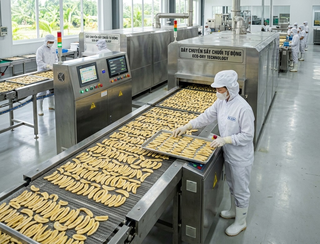 Dây chuyền sấy và chế biến bẹ chuối phụ phẩm