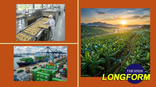Từ chuyến thăm Hàn Quốc đến chuỗi giá trị toàn cầu của một ngôi sao HTX ở Đồng Nai