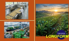 Từ chuyến thăm Hàn Quốc đến chuỗi giá trị toàn cầu của một ngôi sao HTX ở Đồng Nai