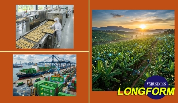Từ chuyến thăm Hàn Quốc đến chuỗi giá trị toàn cầu của một ngôi sao HTX ở Đồng Nai