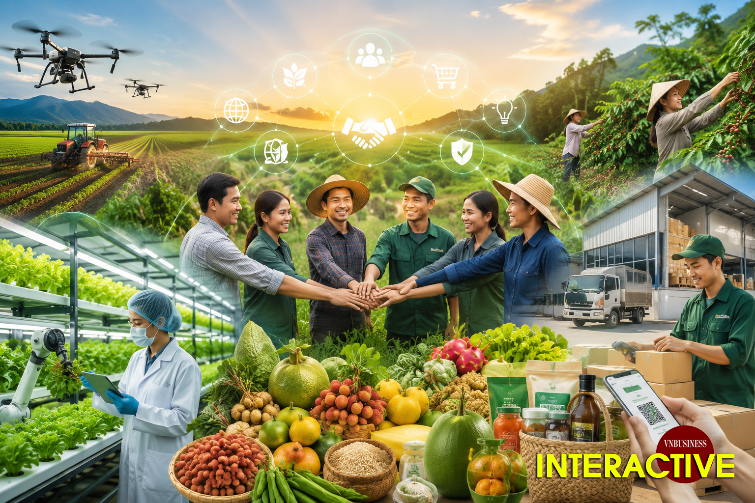 HTX nâng cao giá trị nông sản, giải bài toán được mùa mất giá