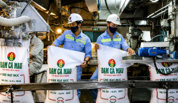 Lãi tăng gần 55%, điều gì khiến dòng tiền của Đạm Cà Mau bất ngờ chuyển sang âm?