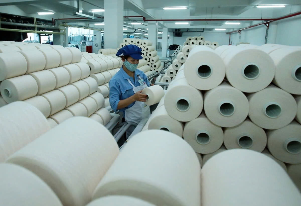 Sợi Thế Kỷ (STK) báo lỗ trong quý II/2026, qua đó nối dài chuỗi thua lỗ sau khi ghi nhận khoản lỗ trong quý I.
