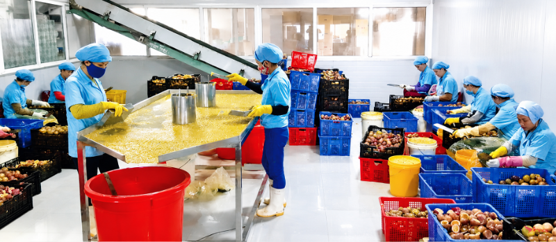 "Tài sản trí tuệ" từ nông sản chế biến: Lối thoát khỏi bẫy bán thô cho HTX