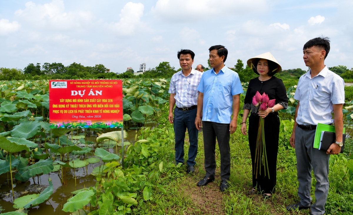 Các đại biểu tham quan mô hình sản xuất cây hoa sen thích ứng với biến đổi khí hậu và bảo vệ môi trường, phù hợp với nhu cầu của thị trường tại xã Ứng Hòa.