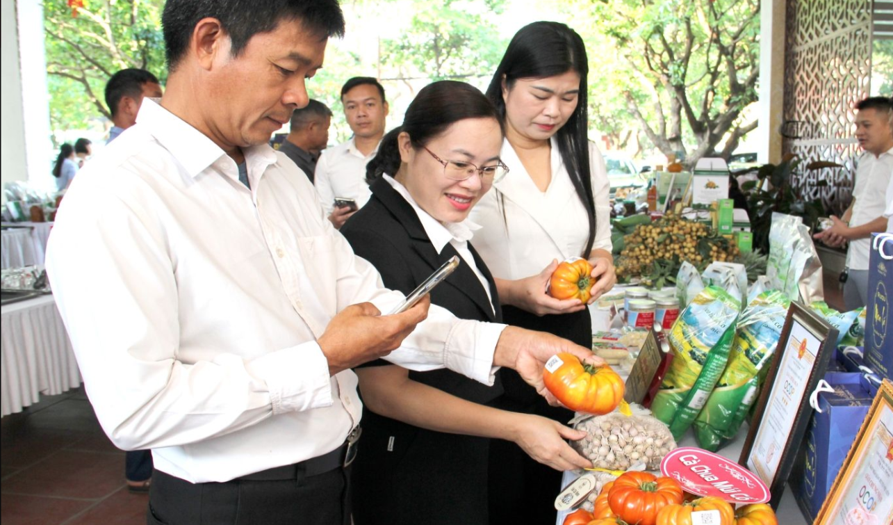 Bảo hộ tài sản trí tuệ và thương hiệu nông sản Sơn La
