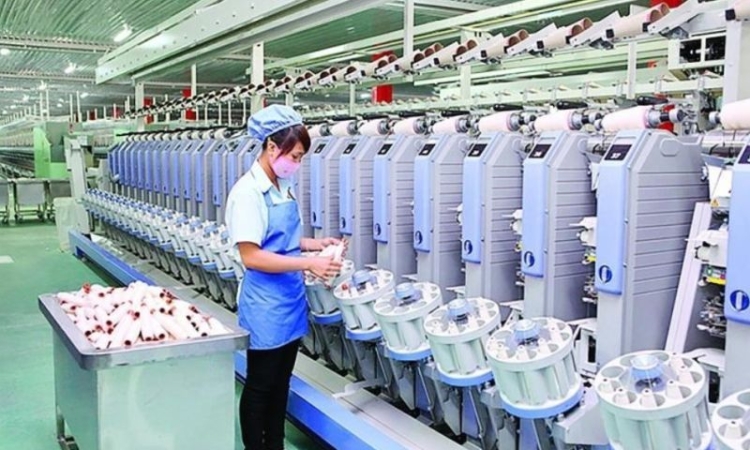 Dệt may Thành Công: Lợi nhuận hụt hơi, cổ phiếu rơi về đáy gần 6 năm