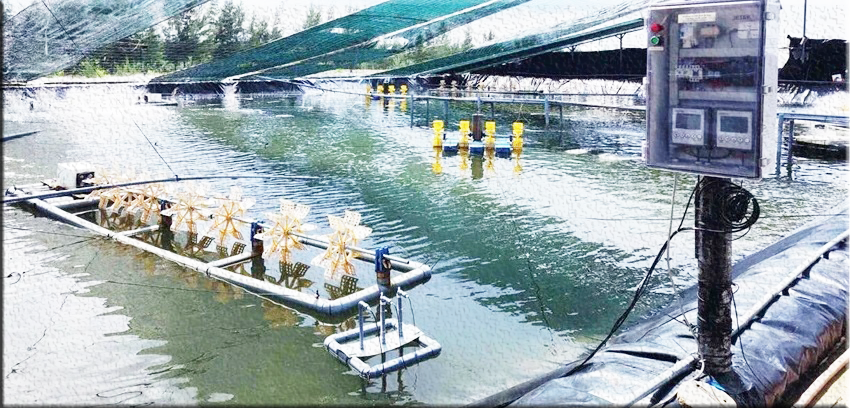 Drone nông nghiệp & Quản trị số