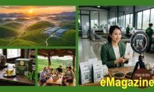 HTX mở lối du lịch xanh bằng đổi mới sáng tạo
