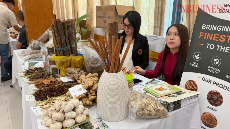Xuất khẩu nông, lâm, thủy sản đạt gần 42,8 tỷ USD sau 7 tháng, xuất siêu hơn 11,6 tỷ USD