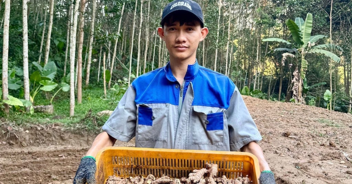 Nông sản xứ Tiên “lên đời” nhờ HTX và văn hóa đổi mới sáng tạo - VnBusiness