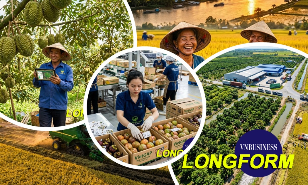 HTX - mắt xích tạo giá trị mới cho nông sản