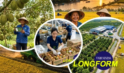 HTX - mắt xích tạo giá trị mới cho nông sản